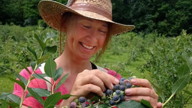 HERE’S To All My Ladies Out There: my blueberry rumble about society’s messages & women’s worth